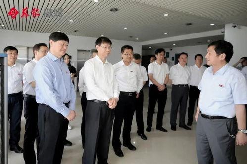 吴川小学爆料事件最新进展,最新进展揭示惊人内幕