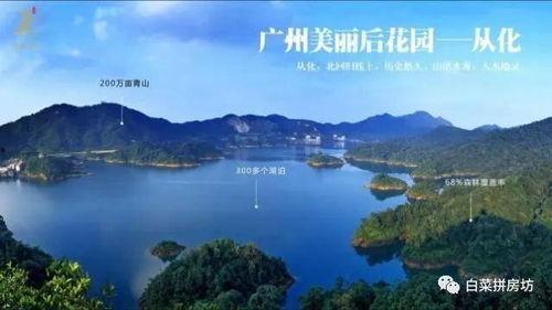 从化爆料消息最新,揭秘神秘事件背后的真相！